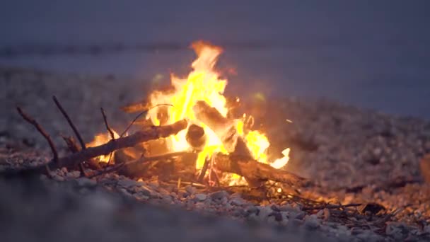 Glödande brasa på stranden vid solnedgången. Vacker eld vid havet — Stockvideo