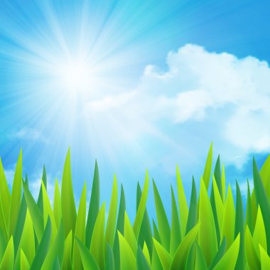 Güzel manzara, vektör çizim