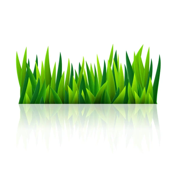 Yeşil Çimen — Stok Vektör