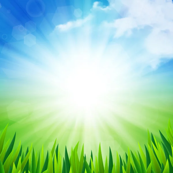 güneşli yaz arka plan