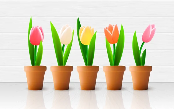 Flores de tulipa — Vetor de Stock
