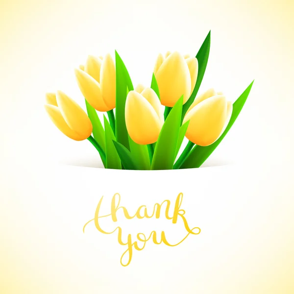 Thank you with tulip flowers — Stock Vector