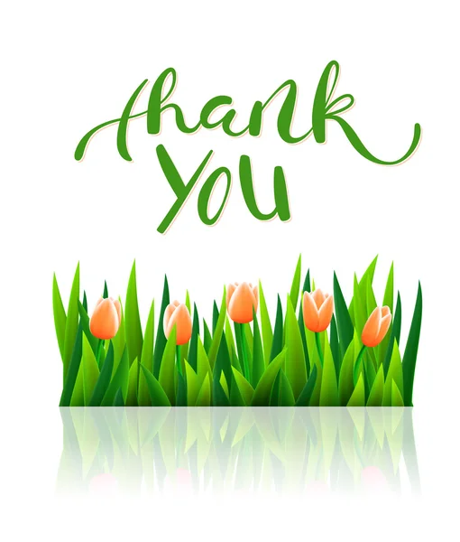 Thank you with tulip flowers — Stock Vector