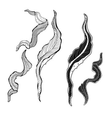 Vintage çiçek siluetleri kümesi