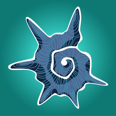 mavi deniz hayvanı kabuğu