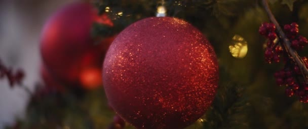 Großaufnahme Einer Roten Weihnachtskugel Die Einem Geschmückten Baum Hängt Zeitlupe — Stockvideo