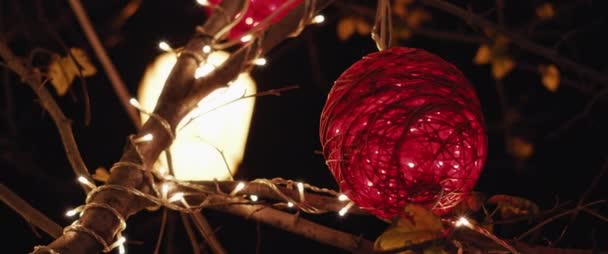 Lumières Décorations Noël Traditionnelles Sur Arbre Pendant Période Des Fêtes — Video