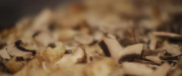 Garnitures frites de chou-fleur et de champignons étalées sur de la pâte à pizza fraîche, prêtes à cuire — Video