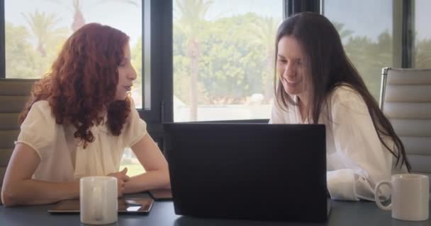 Las Mujeres Negocios Discuten Proyecto Usando Una Computadora Lugar Trabajo — Vídeo de stock