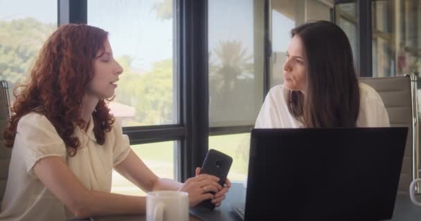 Duas Mulheres Negócios Tendo Uma Reunião Escritório Para Discutir Novo — Vídeo de Stock