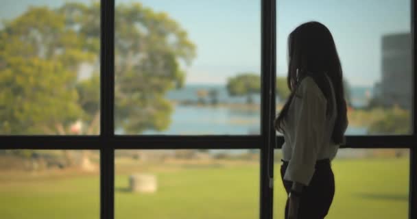 Pengusaha Wanita Berjalan Menuju Jendela Besar Dengan Pemandangan Danau Menunggu — Stok Video