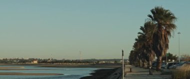 Avrupa 'da bir liman kenti yakınlarında palmiye ağaçları olan bir gezinti alanı manzarası. Yavaş çekim.