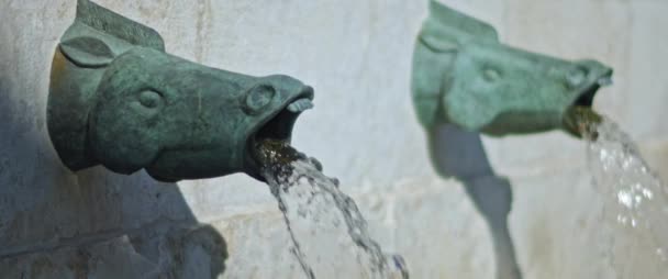 Vista Laterale Una Fontana Decorativa Forma Testa Cavallo Proveniente Muro — Video Stock