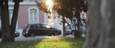 Gün batımında şehir parkı manzarası, yakınlarda park edilmiş arabalar. Yavaş çekim.