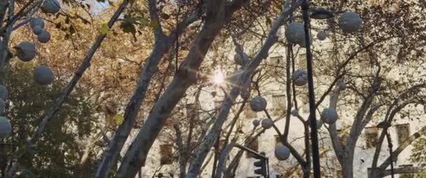 Ünnepi Dekoráció Lóg Fák Ágain Egy Városi Parkban Lassú Mozgás — Stock videók