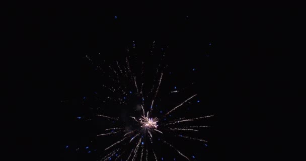 Παλάμη Του Μπλε Και Άσπρο Πυροτεχνήματα Οθόνη Αργή Κίνηση — Αρχείο Βίντεο