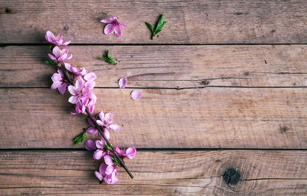 Fleurs de pêche sur un vieux fond en bois. Fleurs de fruits . — Photo