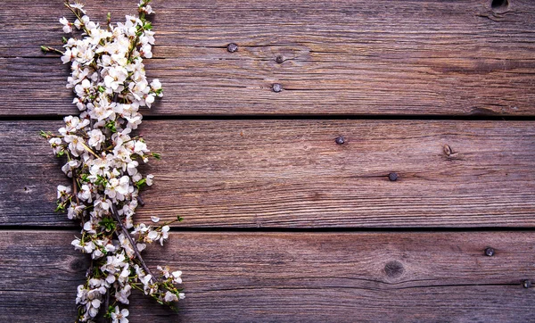 Flowers on wooden background — Stock Photo, Image