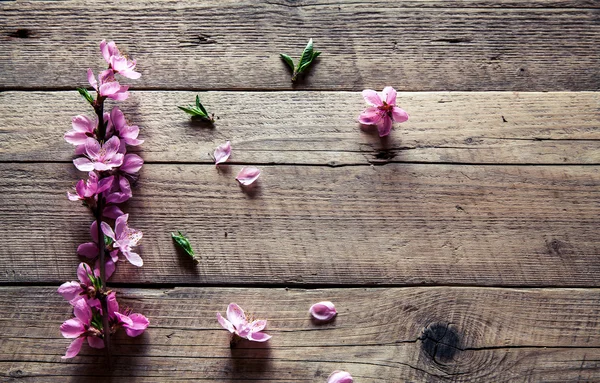 Fleurs de pêche sur un vieux fond en bois. Fleurs de fruits . — Photo