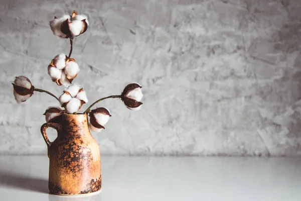 Branches of cotton in a brown wicker vase on a background of a gray-blue wall — Stock Photo, Image