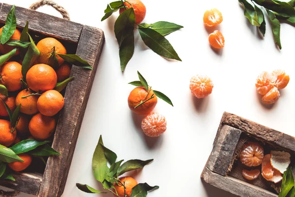 Mandarinen mit frischen Blättern in Holzkiste isoliert auf weiß, isoliert auf einer weißen, Draufsicht. — Stockfoto