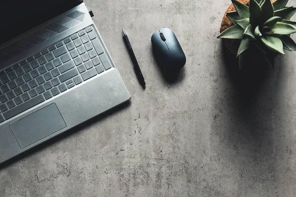 The office desk flat lay view with laptop, mouse, tree, paper clip, coffee cup, notebook, pencil