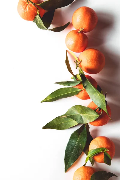 Pomerančové ovocné složení se zelenými listy na bílém dřevěném pozadí Royalty Free Stock Obrázky
