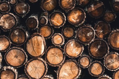 Birbiri üzerine istiflenmiş odun kütüklerinin arka planı.