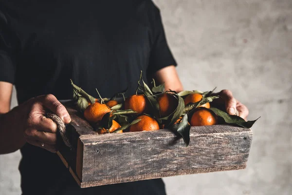 Коробка мандарина в мужских руках на сером фоне. Фермер, экологические фрукты, продукты питания. — стоковое фото