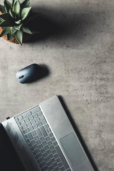 L'ufficio scrivania piatta vista lay con computer portatile, mouse, albero, graffetta, tazza di caffè, notebook, matita — Foto Stock