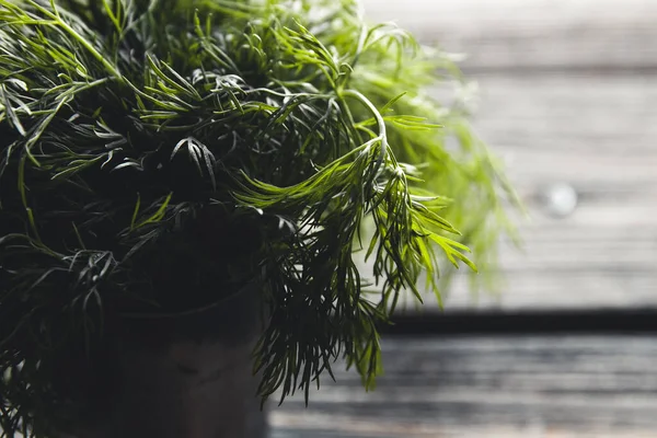 Bunch of dill on wooden background — Stock Photo, Image