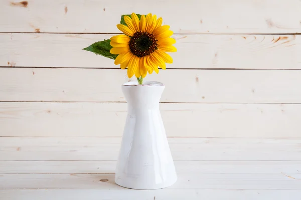 Girasoli in vaso su sfondo rustico e grigio — Foto Stock