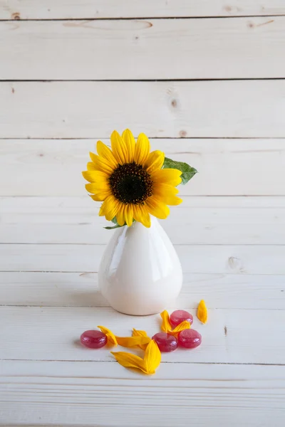 Sunflower on a wooden background with red candy — Stock Photo, Image