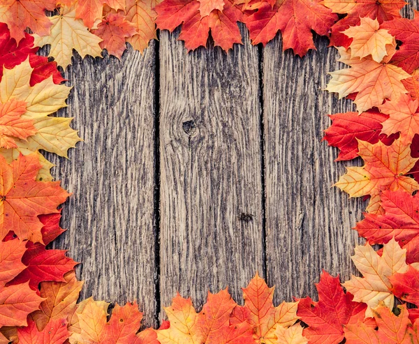 Hojas de otoño húmedas amarillas en el fondo una madera vieja oscura —  Fotos de Stock