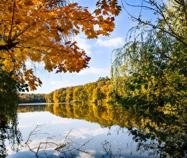 Doğa. Göl Manzaralı sonbahar ağaç dal üzerinden
