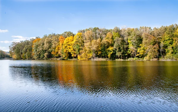 Природа. озеро біля зеленого лісу . — стокове фото