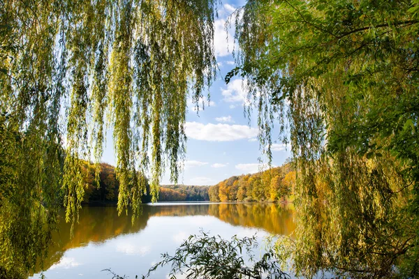 Natur. Seeblick durch herbstliche Baumzweige — Stockfoto