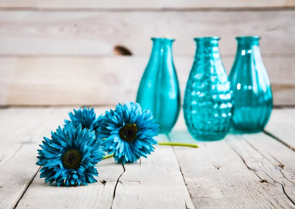 Flor de gerbera azul em um vaso em fundo de madeira — Fotografia de Stock