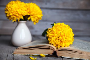 Çiçekler. Güzel sarı Kasımpatı vintage bir vazo içinde. Bir fincan kahve. Parlak Servais, kupa ve uçan daire... Güzel kahvaltı. Ahşap arka plan üzerinde eski kitaplar.