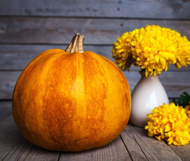 Çiçekler. Güzel sarı Kasımpatı kabak ile vintage seramik vazoda. Eski ahşap arka plan