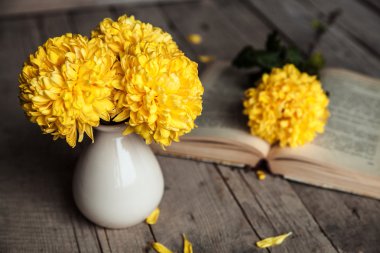 Çiçekler. Güzel sarı Kasımpatı vintage bir vazo içinde. Bir fincan kahve. Parlak Servais, kupa ve uçan daire... Güzel kahvaltı. Ahşap arka plan üzerinde eski kitaplar.