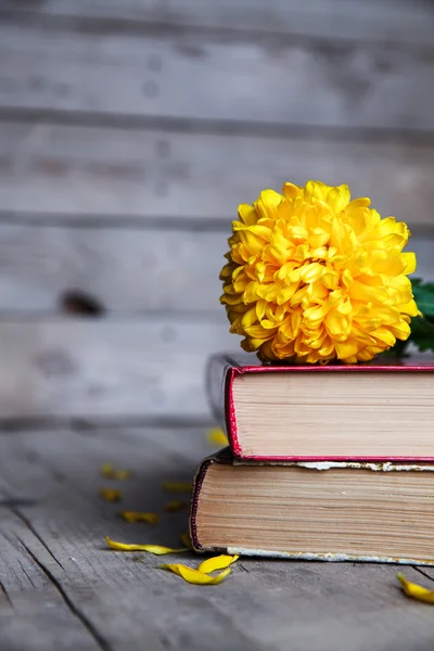 Flores. Belo crisântemo amarelo em um vaso vintage. Uma xícara de café. Servos brilhantes, xícara e pires.. Belo pequeno-almoço.Livros antigos em um fundo de madeira . — Fotografia de Stock