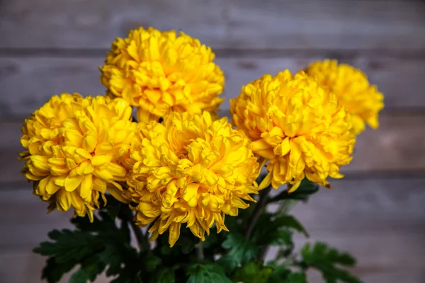 Flores. Belo crisântemo amarelo em vaso de cerâmica vintage. Fundo de madeira velha — Fotografia de Stock