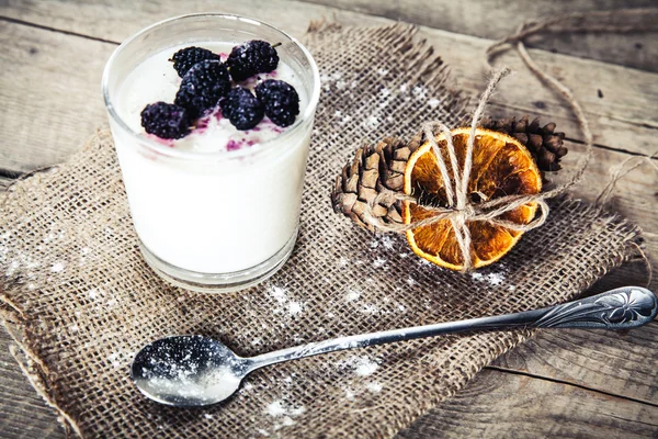 Serving of frozen creamy ice yoghurt  with fresh mulberry.  Heal — Stock Photo, Image