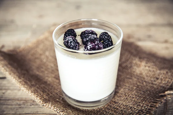 Melayani es yoghurt beku — Stok Foto