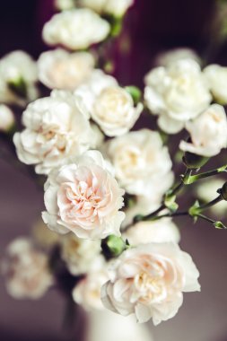 bir vazo vintage karanfil narin buket. romantizm