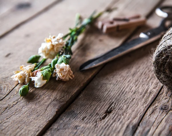 Faded carnations with old scissors and old thread, vintage — Stock Photo, Image