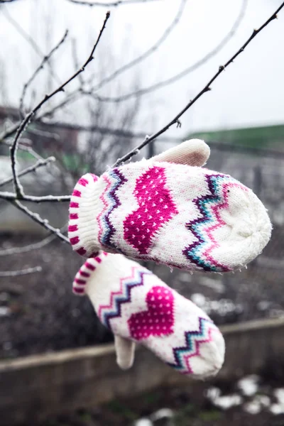 Bevroren plant met een mooie warme handschoenen — Stockfoto
