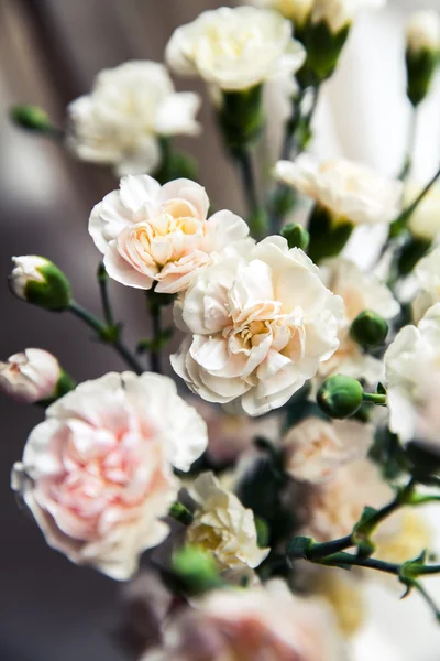 Delicate bouquet of carnations in vintage style — Stock Photo, Image