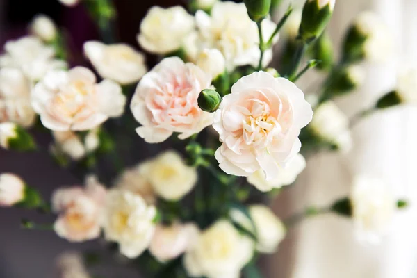 Delicate bouquet of carnations in vintage style — Stock Photo, Image